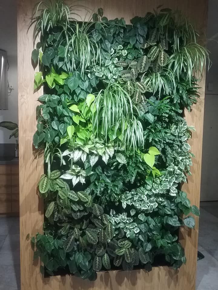 Żywa ściana z roślin w pokoju dziennym