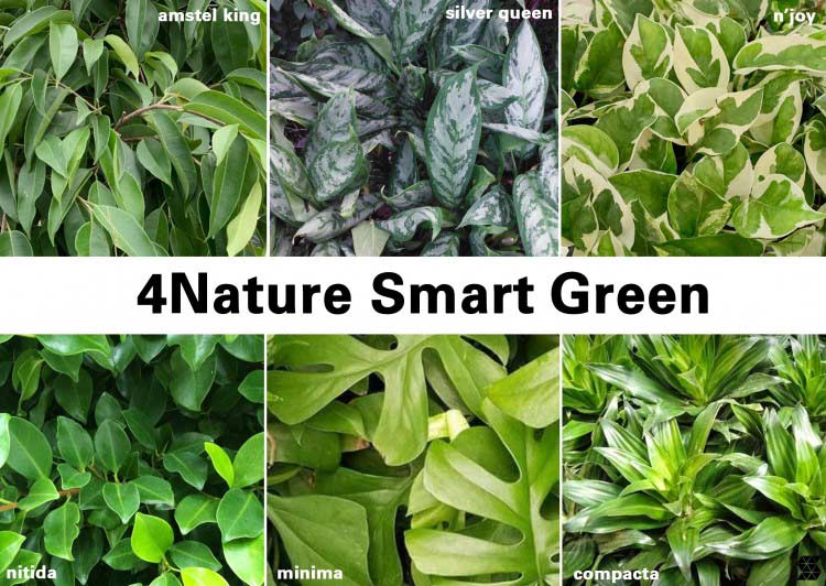 Poznajcie 4Nature Smart Green