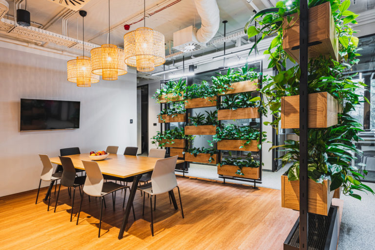 Ogrody wertykalne – co to jest i jaki jest koszt? Kompletny przewodnik po zielonych ścianach